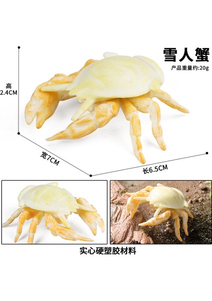 Deniz Yaşamı Modellerinin Simülasyonu (Yurt Dışından)