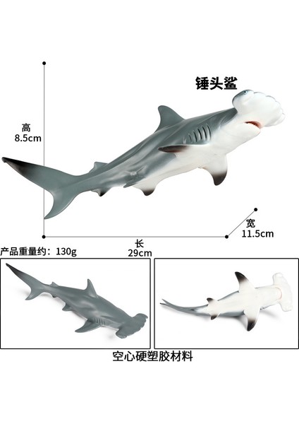 Deniz Yaşamı Modellerinin Simülasyonu (Yurt Dışından)