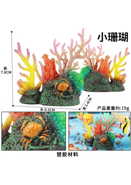 Deniz Yaşamı Modellerinin Simülasyonu (Yurt Dışından)