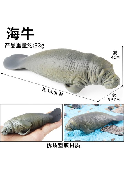 Deniz Yaşamı Modellerinin Simülasyonu (Yurt Dışından)