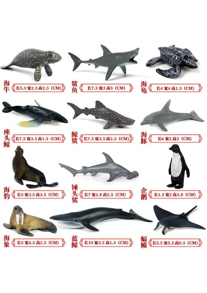 Deniz Yaşamı Modellerinin Simülasyonu (Yurt Dışından)