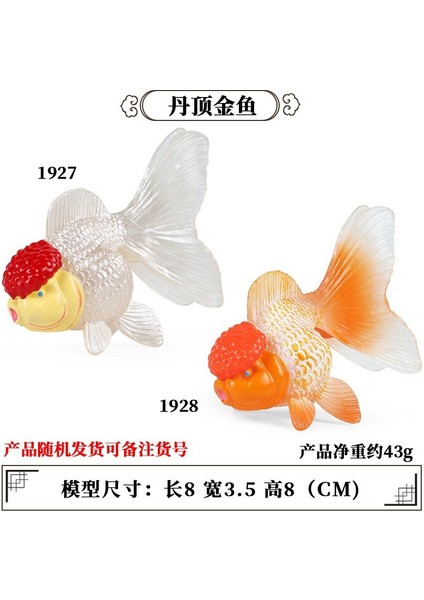 Deniz Yaşamı Modellerinin Simülasyonu (Yurt Dışından)