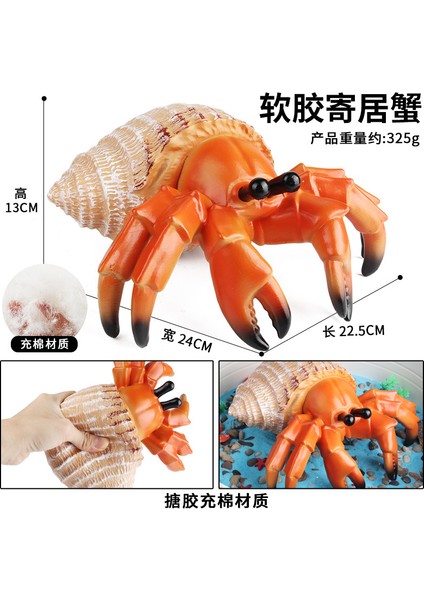 Deniz Yaşamı Modellerinin Simülasyonu (Yurt Dışından)