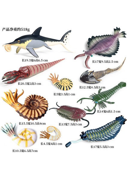 Deniz Yaşamı Modellerinin Simülasyonu (Yurt Dışından)