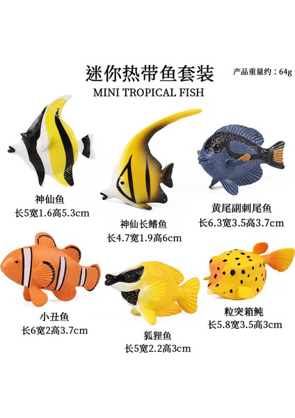 Deniz Yaşamı Modellerinin Simülasyonu (Yurt Dışından)