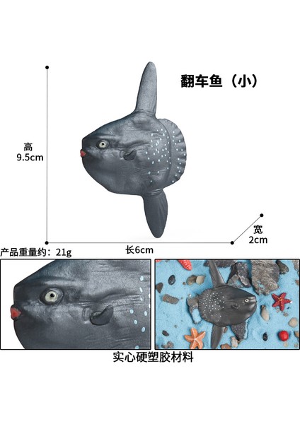 Deniz Yaşamı Modellerinin Simülasyonu (Yurt Dışından)