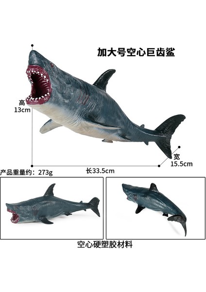 Deniz Yaşamı Modellerinin Simülasyonu (Yurt Dışından)