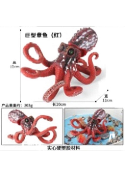 Deniz Yaşamı Modellerinin Simülasyonu (Yurt Dışından)