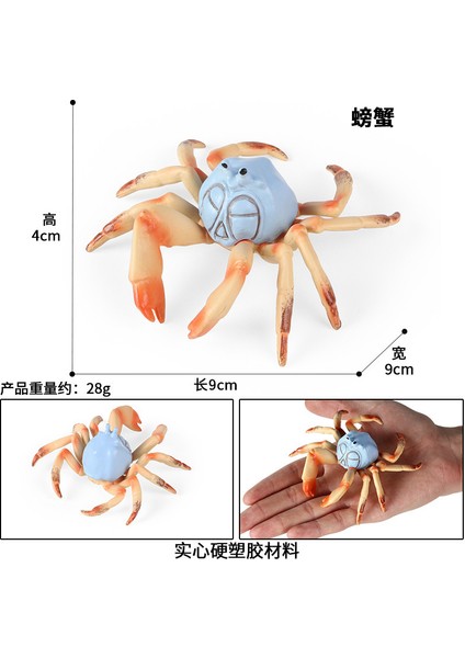 Deniz Yaşamı Modellerinin Simülasyonu (Yurt Dışından)