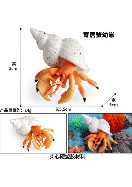 Deniz Yaşamı Modellerinin Simülasyonu (Yurt Dışından)