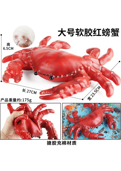 Deniz Yaşamı Modellerinin Simülasyonu (Yurt Dışından)