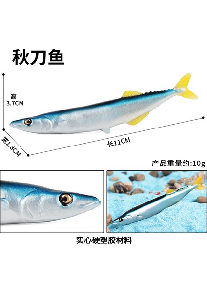 Deniz Yaşamı Modellerinin Simülasyonu (Yurt Dışından)