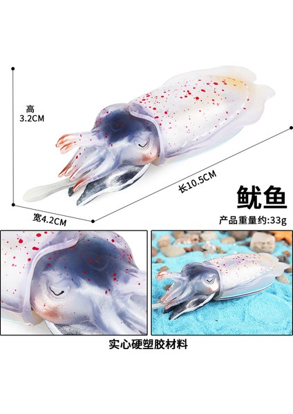 Deniz Yaşamı Modellerinin Simülasyonu (Yurt Dışından)