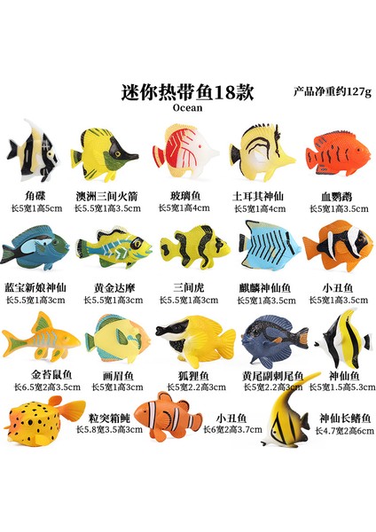 Simülasyon Deniz Hayvanı Modeli (Yurt Dışından)