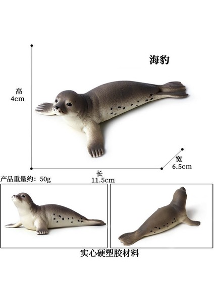 Deniz Yaşamı Modellerinin Simülasyonu (Yurt Dışından)