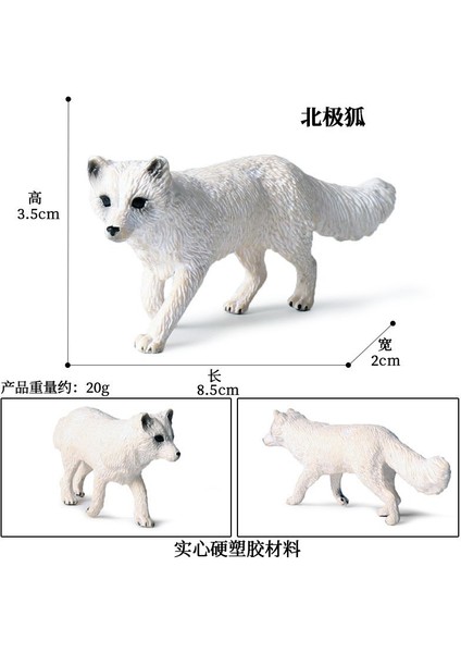 Simülasyon Deniz Hayvanı Modeli (Yurt Dışından)