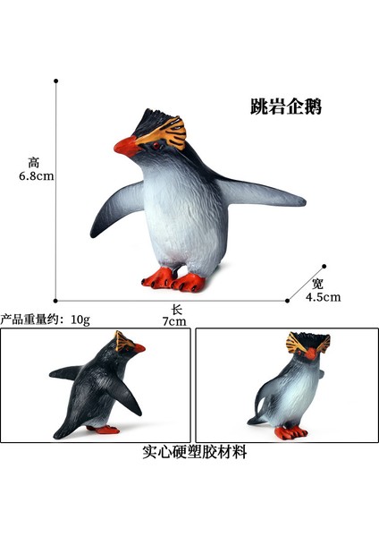 Simülasyon Deniz Hayvanı Modeli (Yurt Dışından)