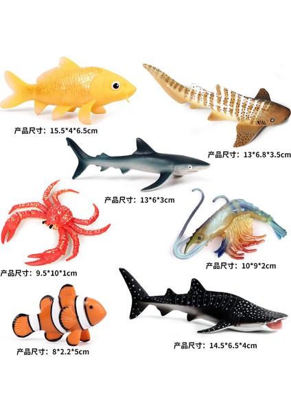 Deniz Yaşamı Modellerinin Simülasyonu (Yurt Dışından)