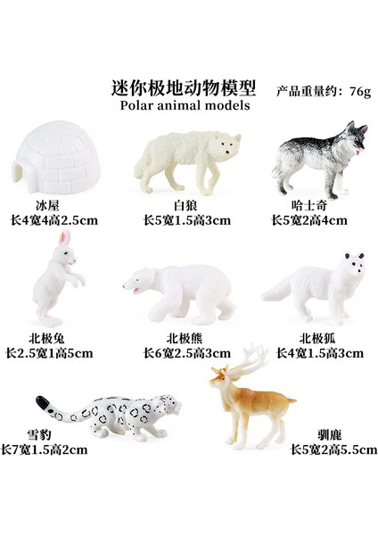 Simülasyon Deniz Hayvanı Modeli (Yurt Dışından)