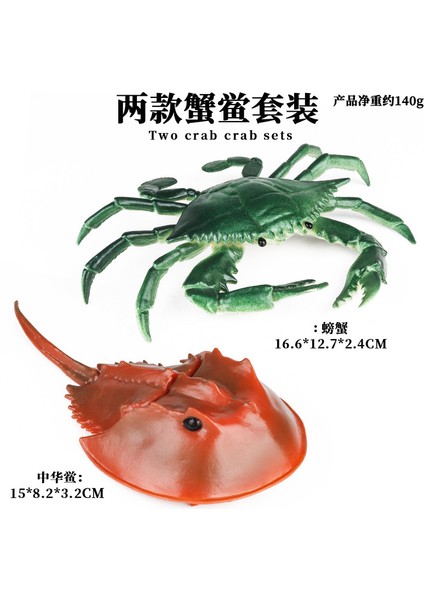 Deniz Yaşamı Modellerinin Simülasyonu (Yurt Dışından)