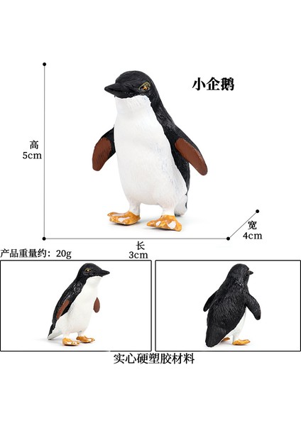 Simülasyon Deniz Hayvanı Modeli (Yurt Dışından)