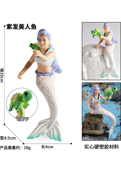 Deniz Yaşamı Modellerinin Simülasyonu (Yurt Dışından)