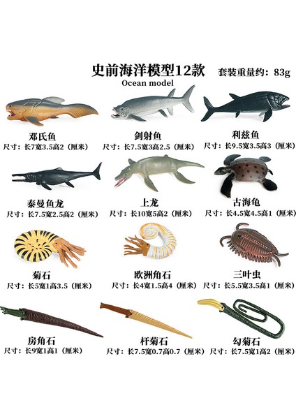 Simülasyon Deniz Hayvanı Modeli (Yurt Dışından)