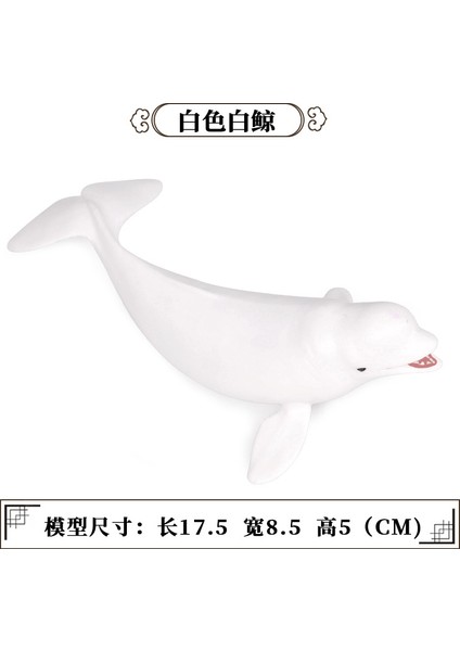 Deniz Yaşamı Modellerinin Simülasyonu (Yurt Dışından)