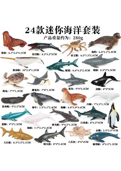 Simülasyon Deniz Hayvanı Modeli (Yurt Dışından)