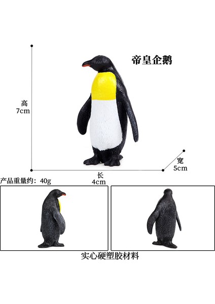 Simülasyon Deniz Hayvanı Modeli (Yurt Dışından)