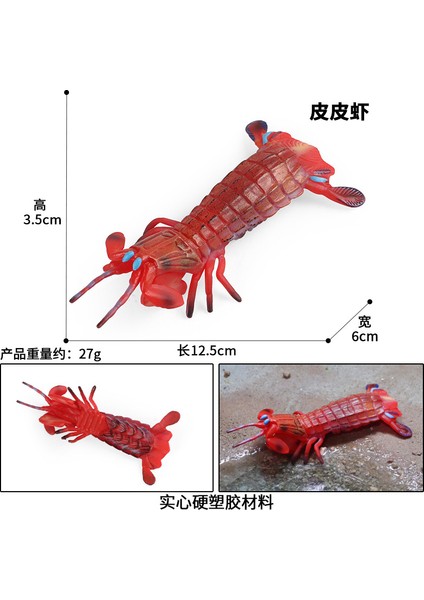 Deniz Yaşamı Modellerinin Simülasyonu (Yurt Dışından)