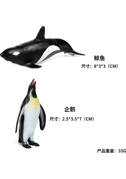 Simülasyon Deniz Hayvanı Modeli (Yurt Dışından)