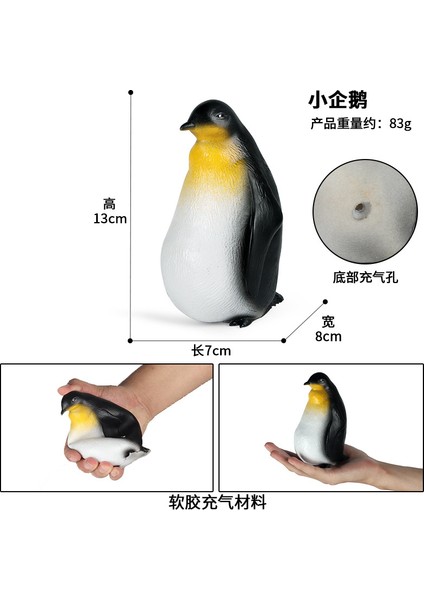 Simülasyon Deniz Hayvanı Modeli (Yurt Dışından)