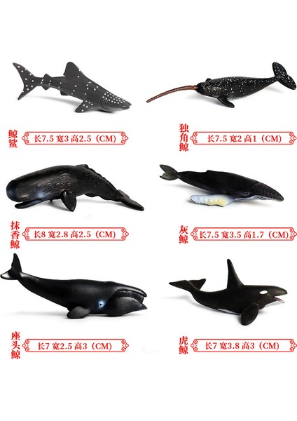 Deniz Yaşamı Modellerinin Simülasyonu (Yurt Dışından)