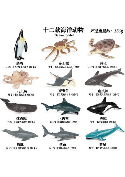 Simülasyon Deniz Hayvanı Modeli (Yurt Dışından)