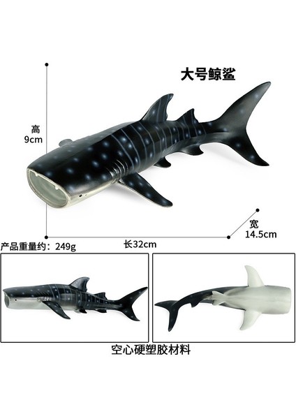 Deniz Yaşamı Modellerinin Simülasyonu (Yurt Dışından)