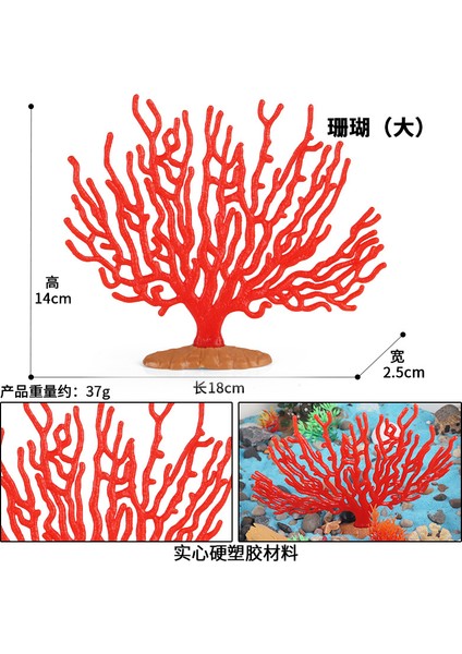 Simülasyon Deniz Hayvanı Modeli (Yurt Dışından)