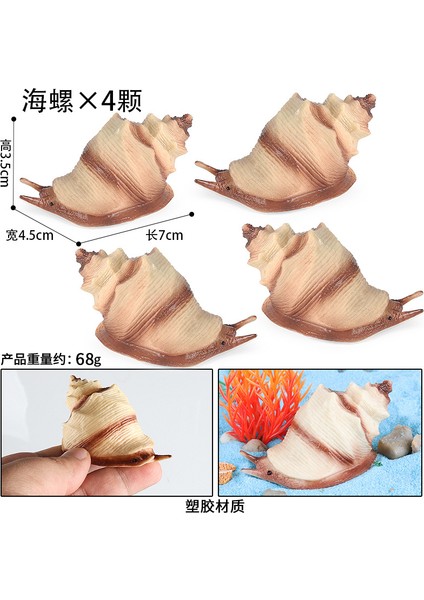 Simülasyon Deniz Hayvanı Modeli (Yurt Dışından)