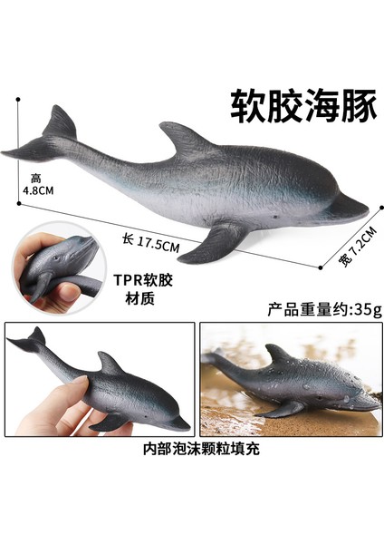 Simülasyon Deniz Hayvanı Modeli (Yurt Dışından)