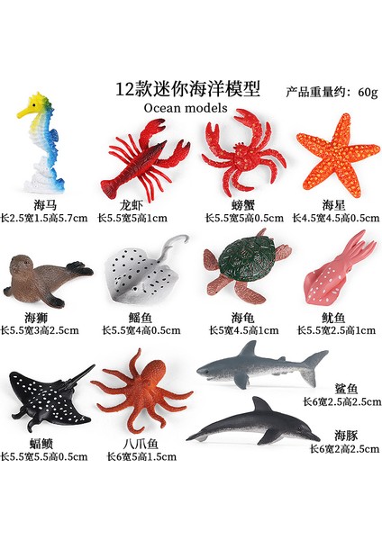 Simülasyon Deniz Hayvanı Modeli (Yurt Dışından)