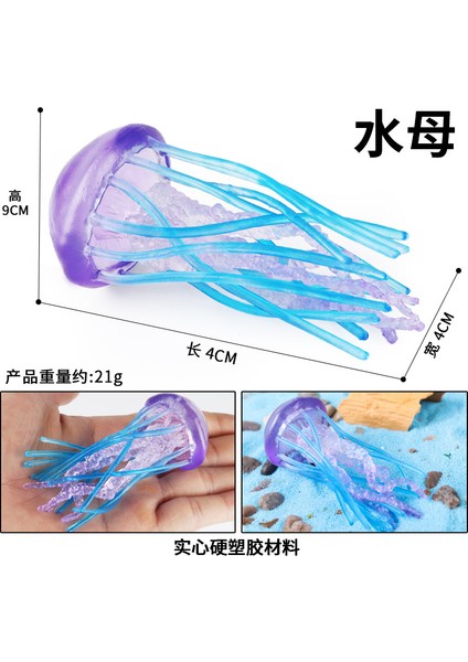 Simülasyon Deniz Hayvanı Modeli (Yurt Dışından)