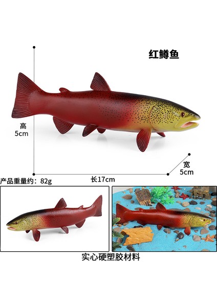 Simülasyon Deniz Hayvanı Modeli (Yurt Dışından)