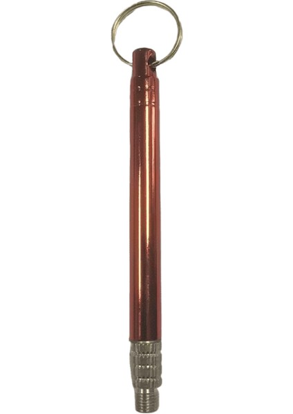 Titanyum Taşınabilir Çok Fonksiyonlu Kürdan Anahtarlık Şişe Meyve Çatal Kamp Aracı Anahtar Zincirleri Tüp Anahtarlık Takı B183 (Yurt Dışından)