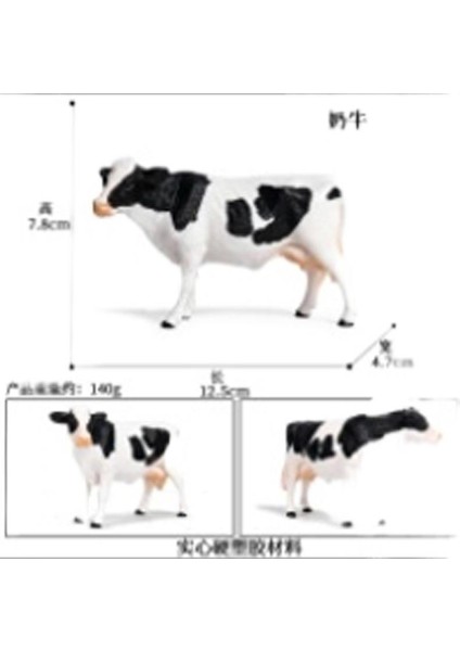 Simülasyon Hayvan Modeli (Yurt Dışından)