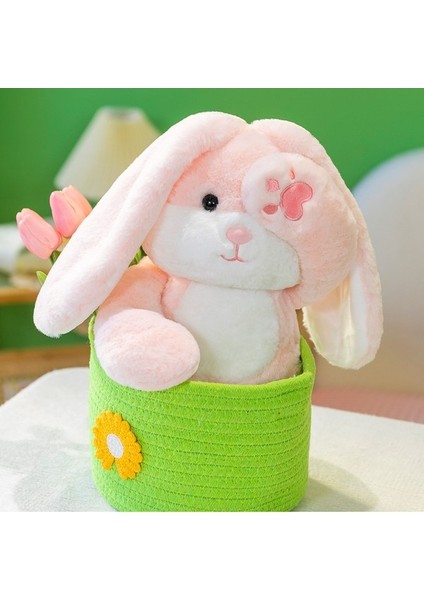 Peek-A-Boo Peluş Oyuncak Yüz Kaplama Oyuncak Bebek Oyuncakları (Yurt Dışından) modelleri