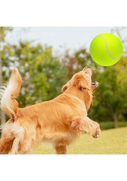 Çocuk Yetişkin Için 9.5 " Büyük Boy Dev Tenis Topu (Yurt Dışından)