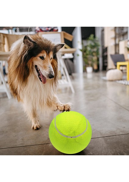 Çocuk Yetişkin Için 9.5 " Büyük Boy Dev Tenis Topu (Yurt Dışından)