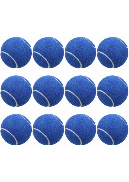 12 Packs Basınç Eşleştirme ve Eğitim Tenis Topları (Yurt Dışından)