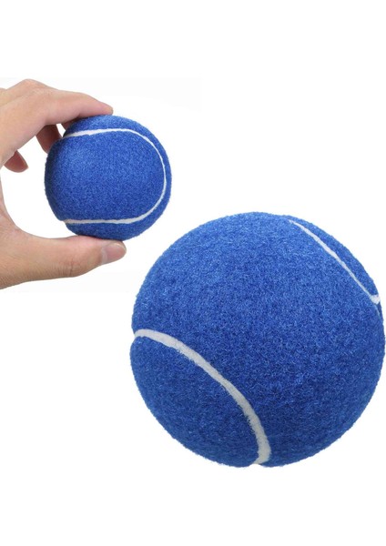 12 Packs Basınç Eşleştirme ve Eğitim Tenis Topları (Yurt Dışından)