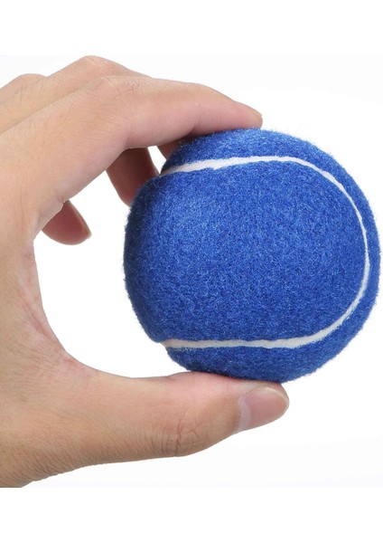 12 Packs Basınç Eşleştirme ve Eğitim Tenis Topları (Yurt Dışından)